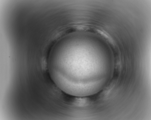 X0000096680469200802121215