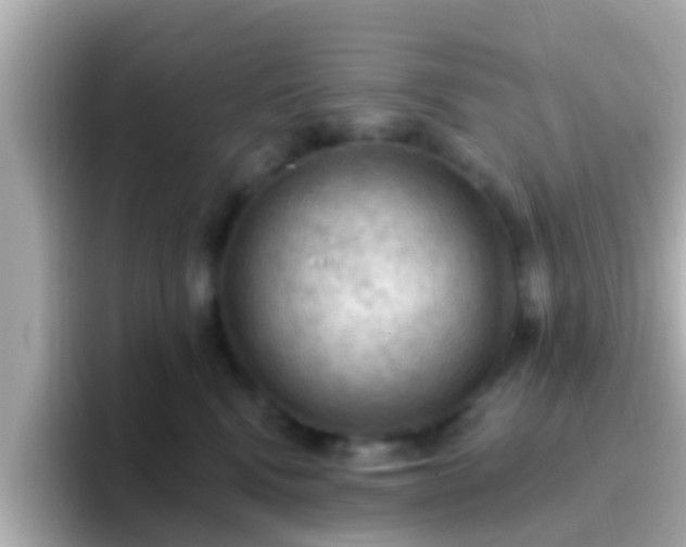 X0000096680472200802121215