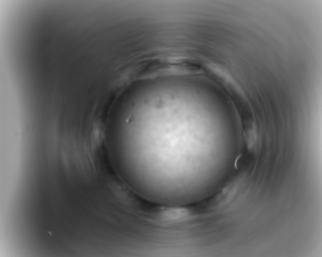 X0000096680476200802121215
