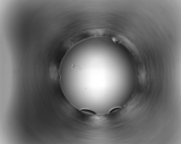 X0000096680477200802121215