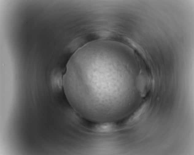 X0000096680479200802121215