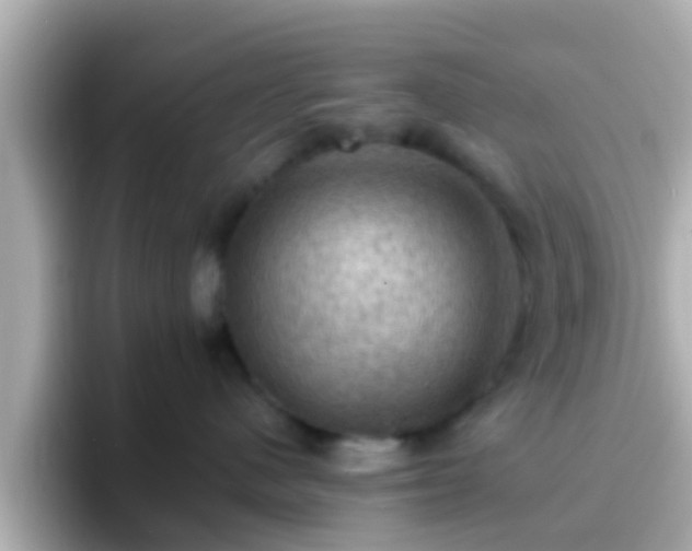 X0000096680480200802121215