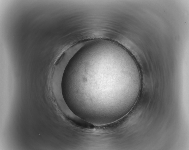 X0000096680481200802121215
