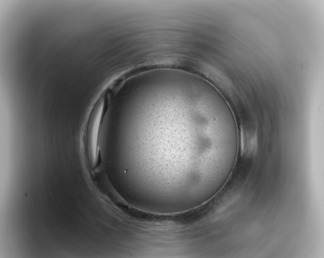 X0000096680483200802121215