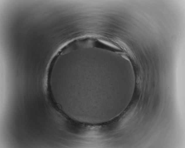 X0000096680484200802121215