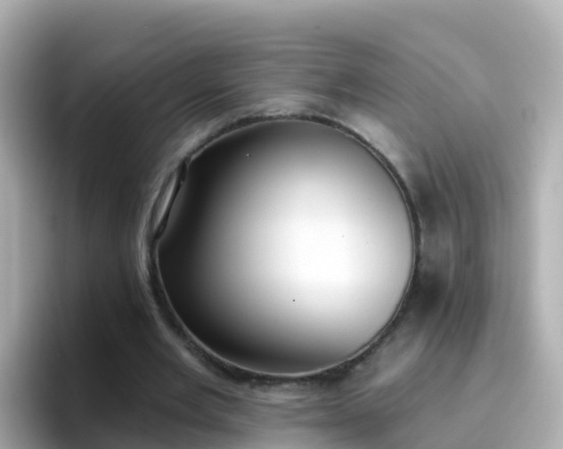 X0000096680485200802121215