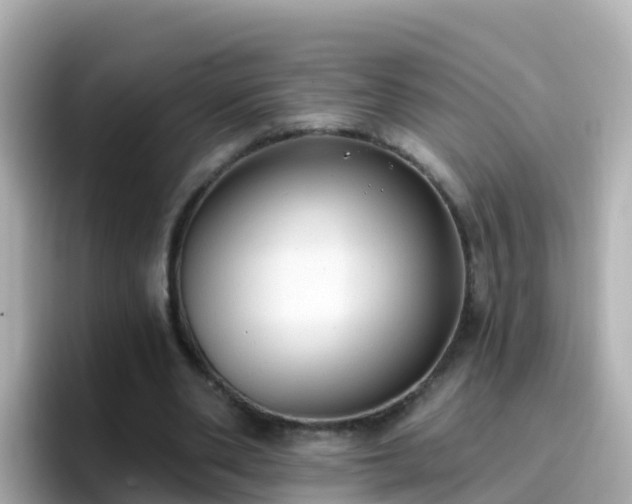 X0000096680486200802121215