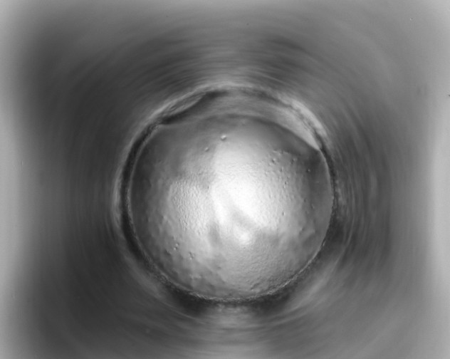 X0000096680487200802121215