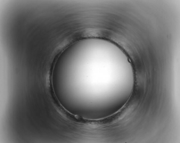 X0000096680489200802121215