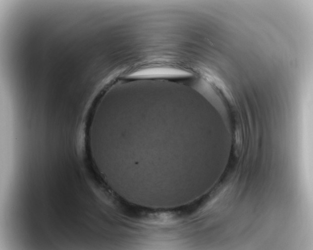 X0000096680492200802121215