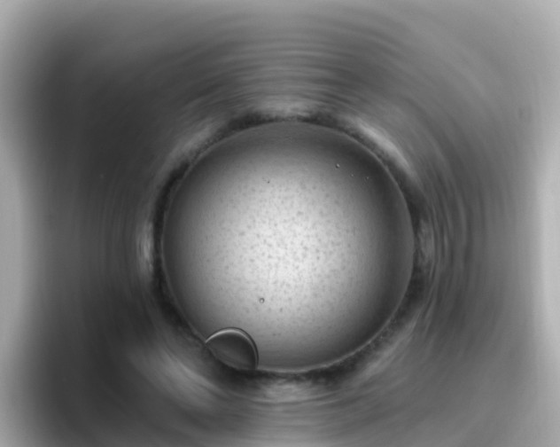 X0000096680494200802121215