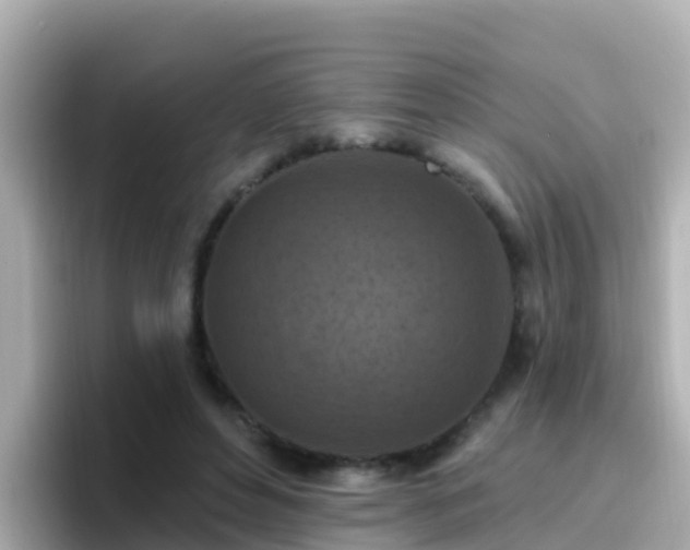 X0000096680496200802121214