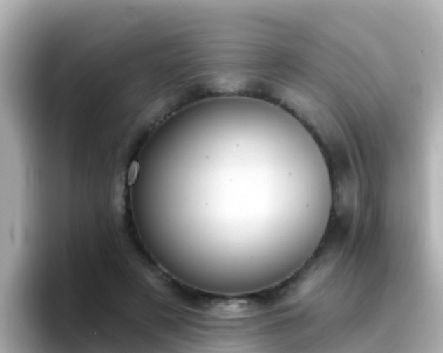 X0000096680497200802121214