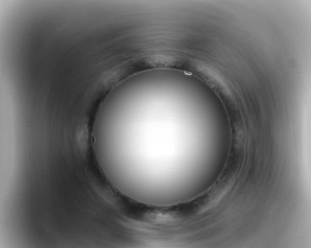 X0000096680498200802121214