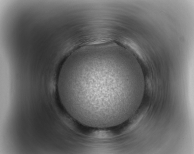 X0000096680499200802121214