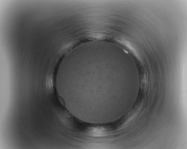 X0000096680500200802121214