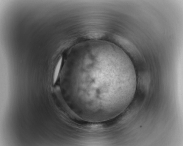X0000096680501200802121214