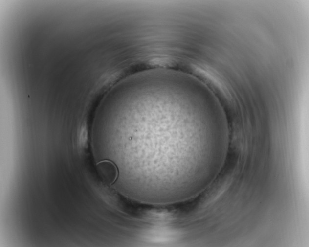 X0000096680502200802121214