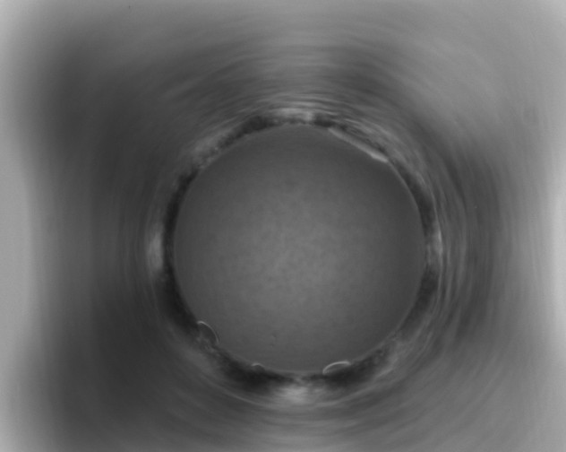 X0000096680504200802121214