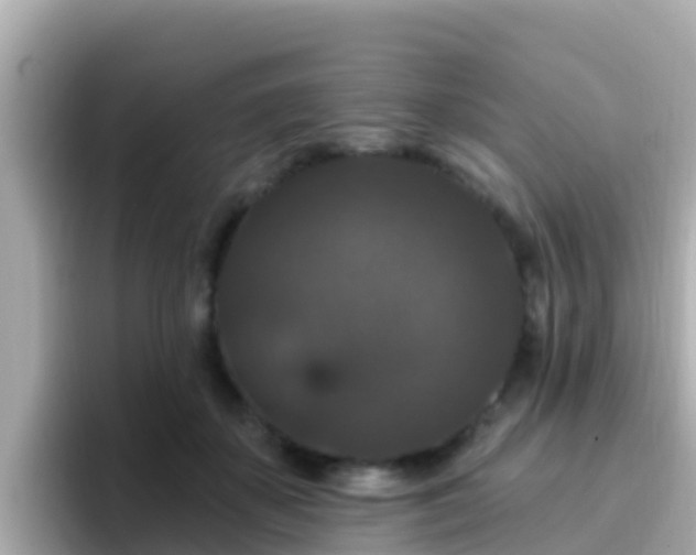 X0000096680507200802121214