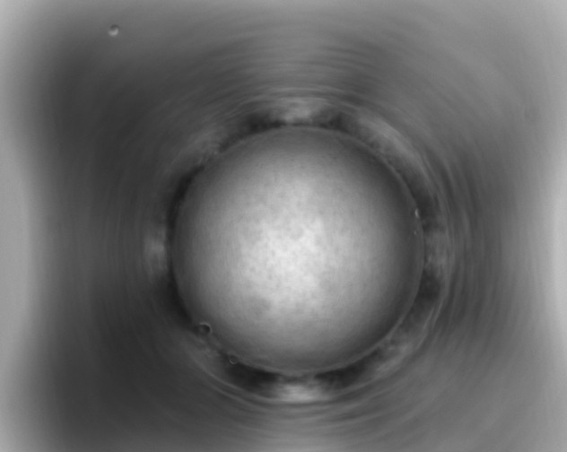 X0000096680510200802121214