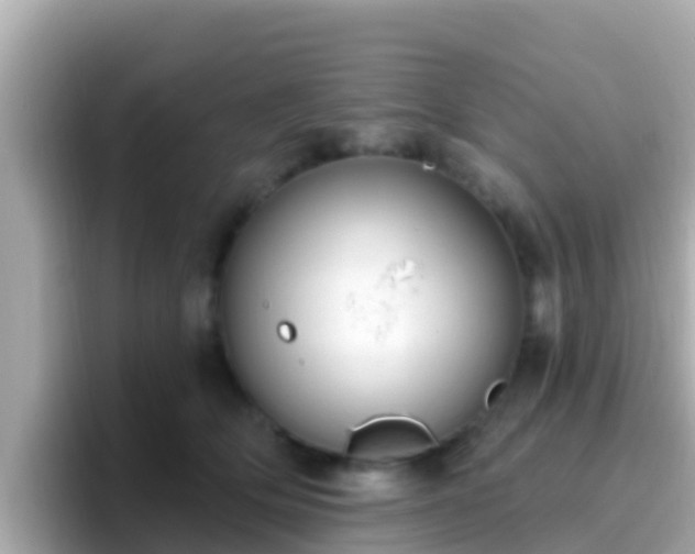 X0000096680514200802121214