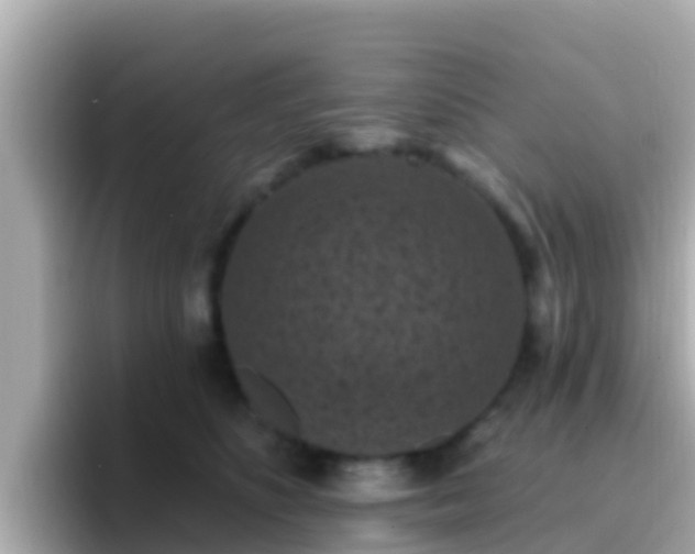 X0000096680516200802121214