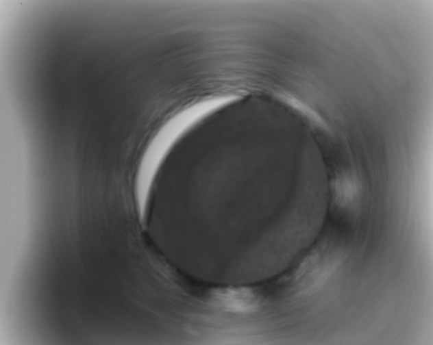 X0000096680517200802121214