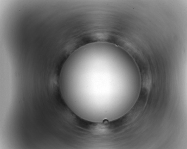 X0000096680518200802121214