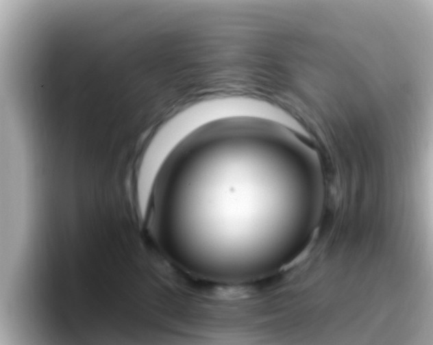 X0000096680520200802121214