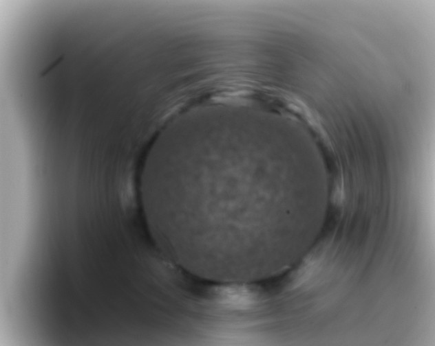 X0000096680524200802121214