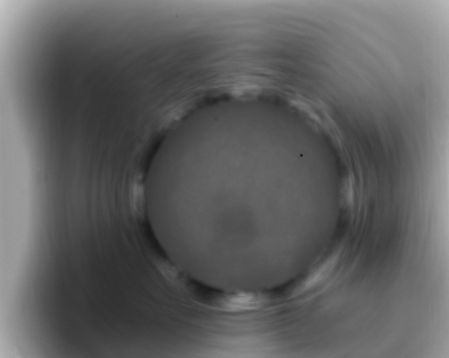X0000096680527200802121214