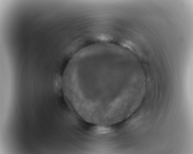 X0000096680528200802121214
