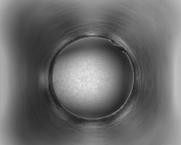 X0000096680530200802121213
