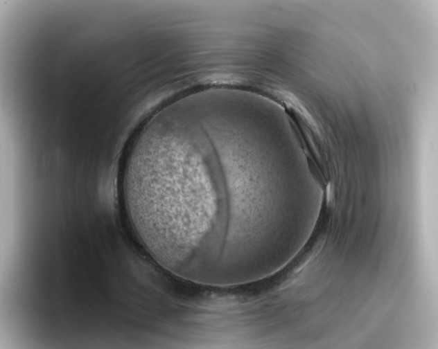 X0000096680531200802121213