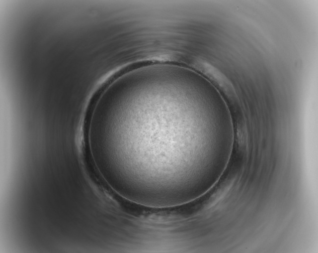 X0000096680532200802121213