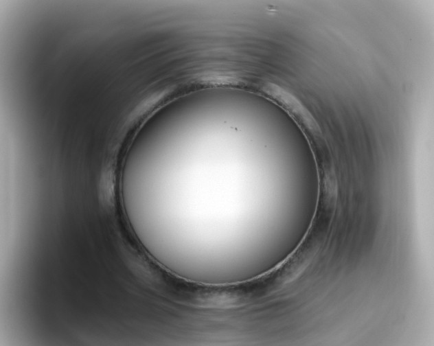X0000096680533200802121213