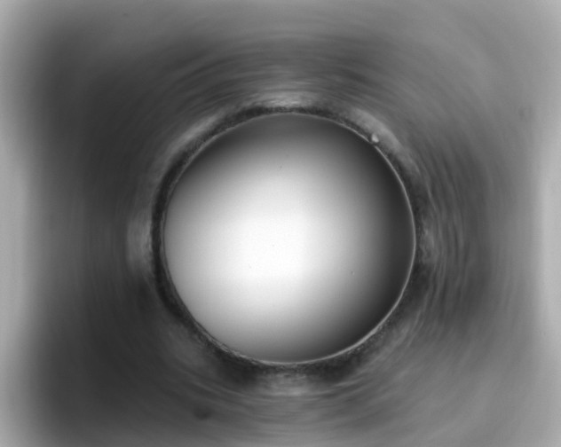 X0000096680535200802121214