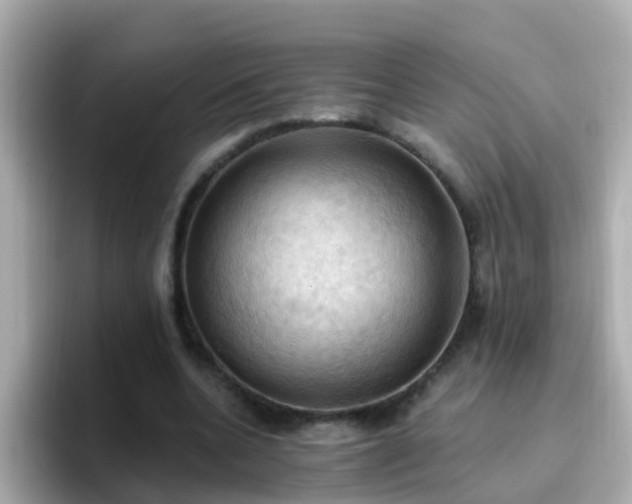 X0000096680536200802121214