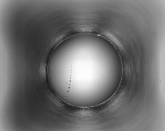 X0000096680537200802121214