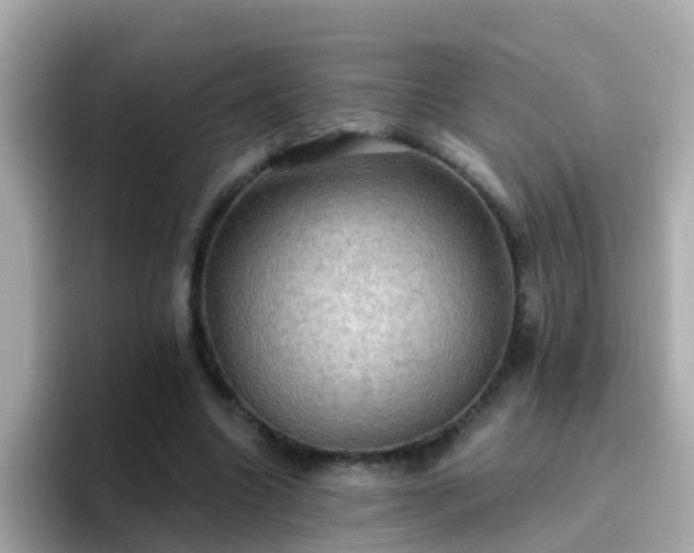 X0000096680538200802121214
