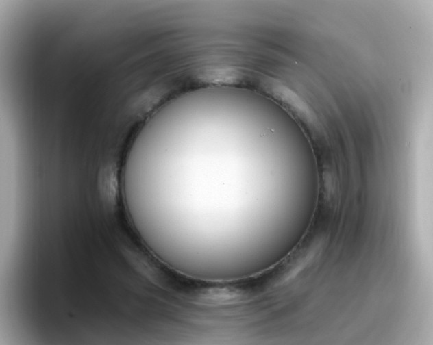 X0000096680541200802121214