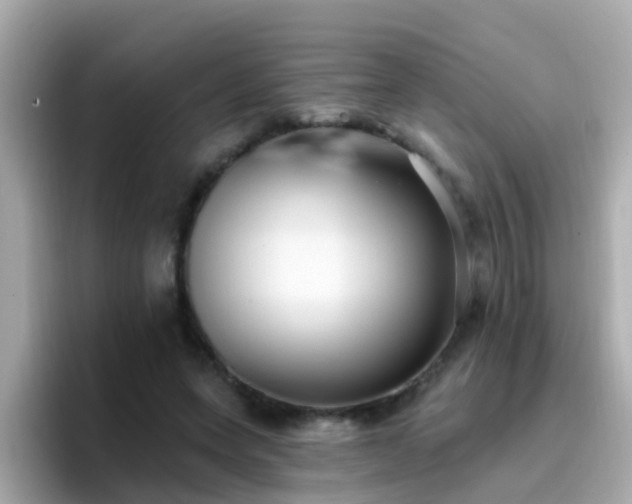 X0000096680543200802121214