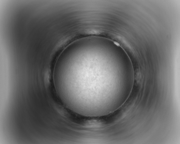 X0000096680544200802121214