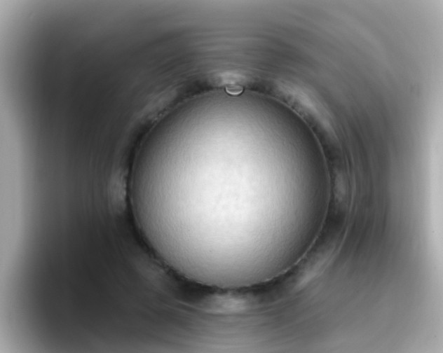 X0000096680545200802121214