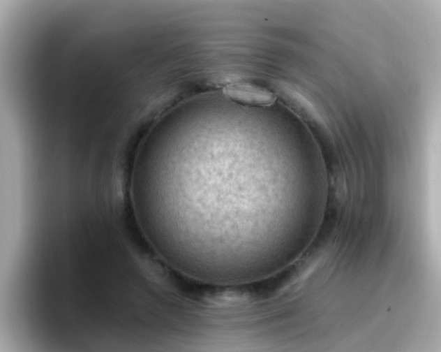 X0000096680546200802121214