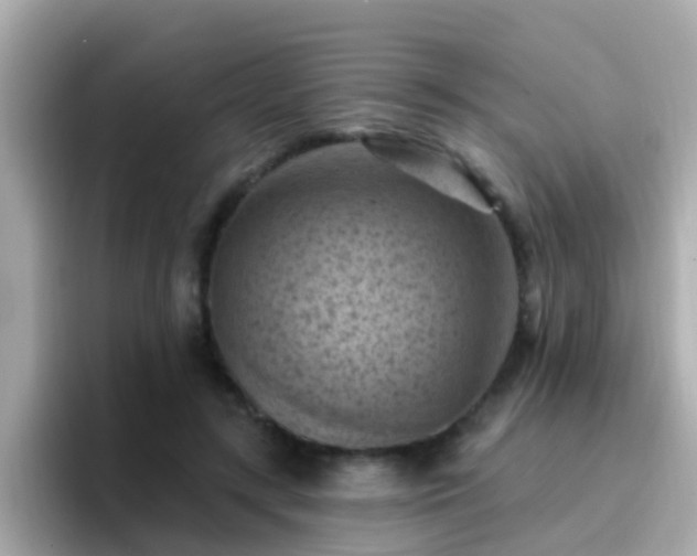 X0000096680547200802121214