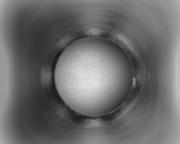 X0000096680548200802121214