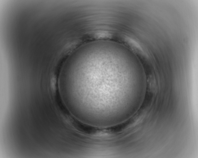 X0000096680550200802121214