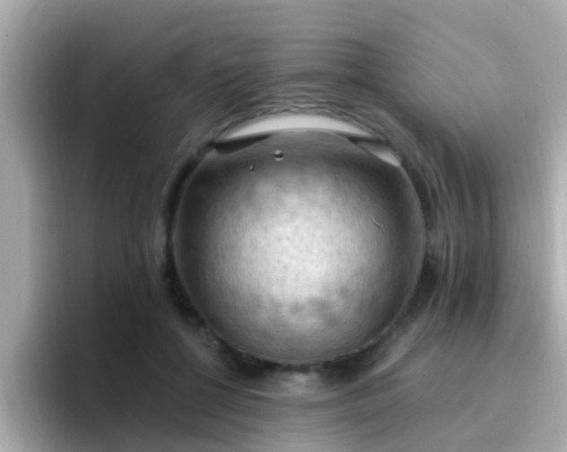 X0000096680552200802121214